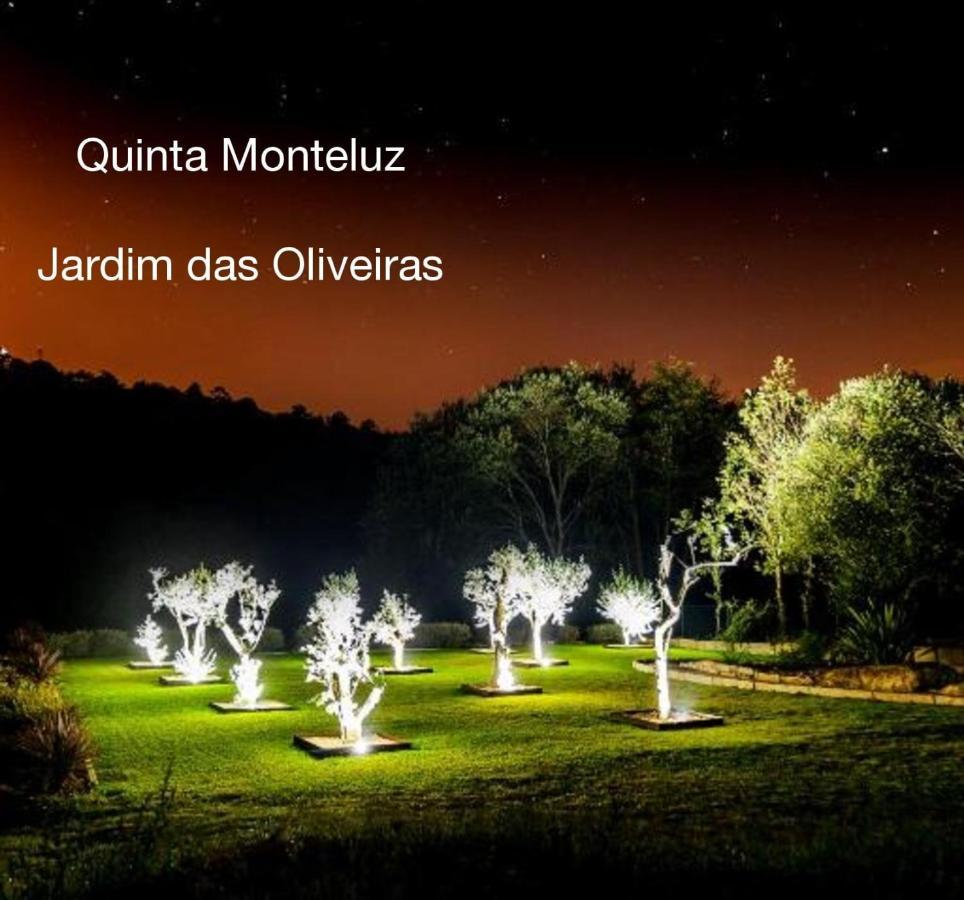 비세우 Quinta Monteluz 아파트 외부 사진