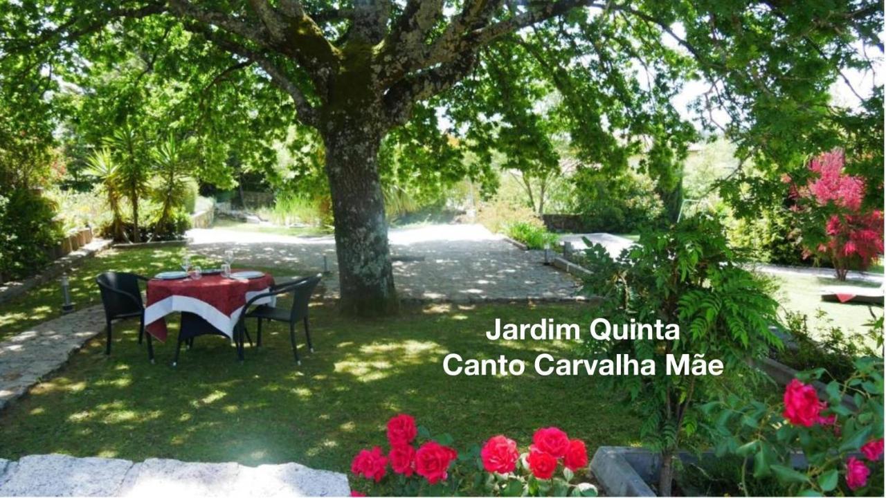 비세우 Quinta Monteluz 아파트 외부 사진